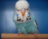 ws-babys2012.007.jpg